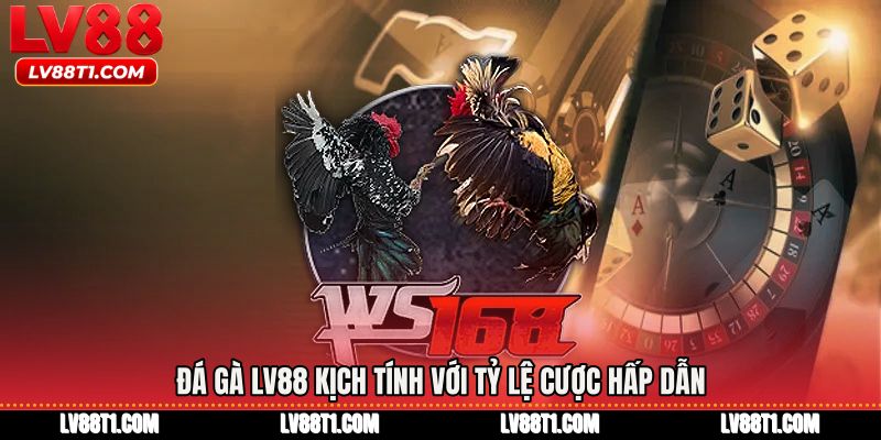 Đá gà LV88 kịch tính với tỷ lệ cược hấp dẫn